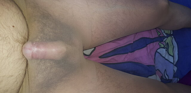 paulinatrans1
