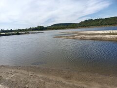 IMG_20220908_135938.jpg