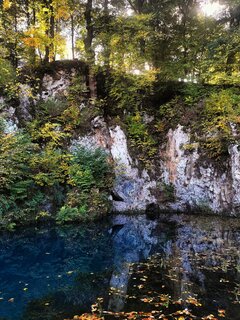 IMG_20221010_185729.jpg