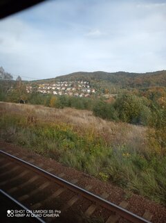 IMG_20221010_133238_690.jpg