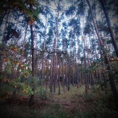 IMG_20221011_071138.jpg