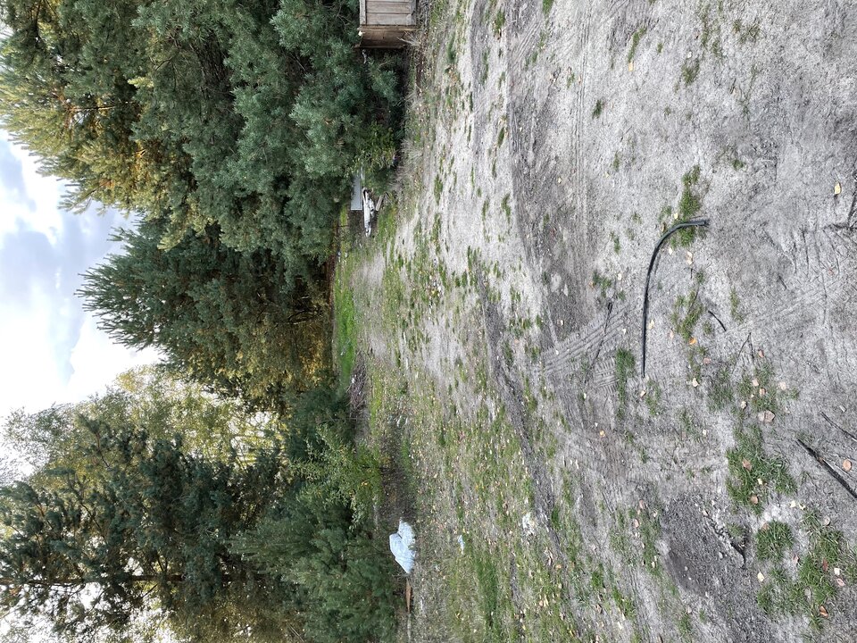 EE7D64B1-A64F-4DD6-9191-F6706ACE6053.jpeg - Jebaniutkizg