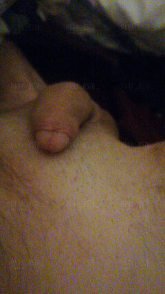 IMG-20221011-WA0005.jpeg
