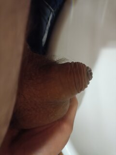 IMG_20221012_095329.jpg