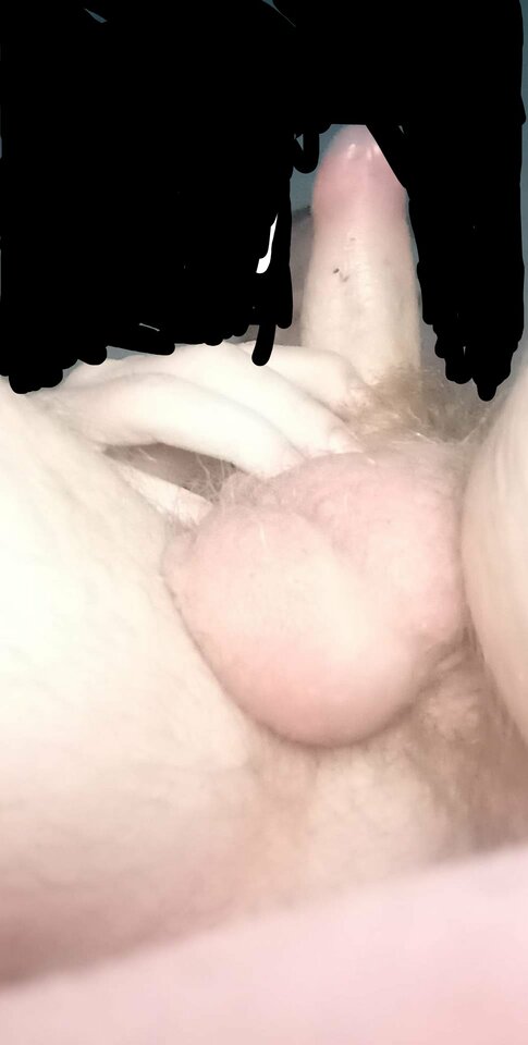 orca-image--1646586035.jpeg - Sexsexsex25