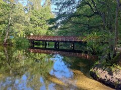 IMG_20220829_091605.jpg