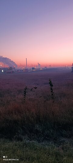 IMG_20221013_063551.jpg