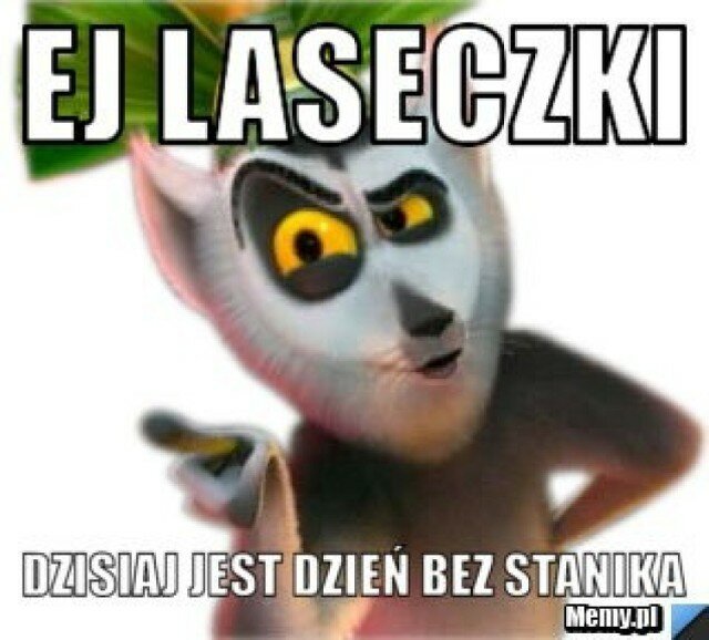 63465b0175ddc_o_medium.jpg - miras76