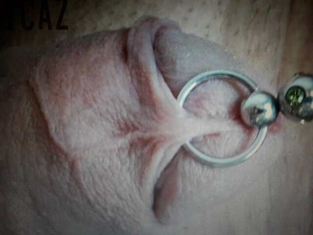 fotodragon