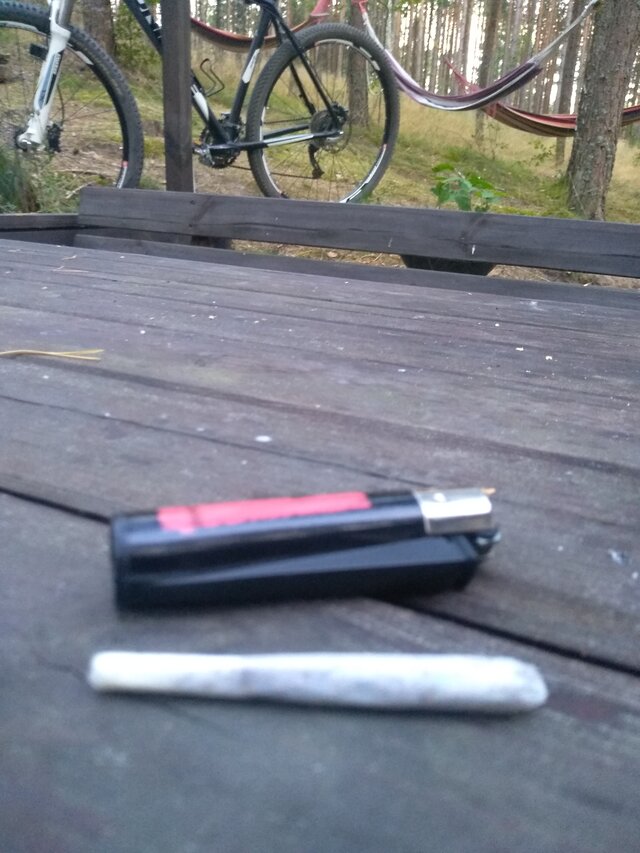 tomekkkrk