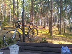 IMG_20220812_181507.jpg