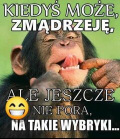 FB_IMG_1665895217036.jpg
