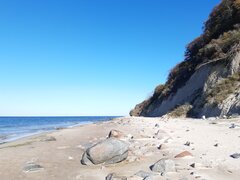 20221007_141143.jpg