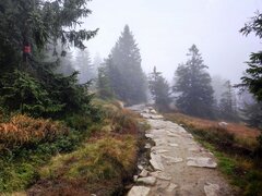 IMG_20221016_132420.jpg