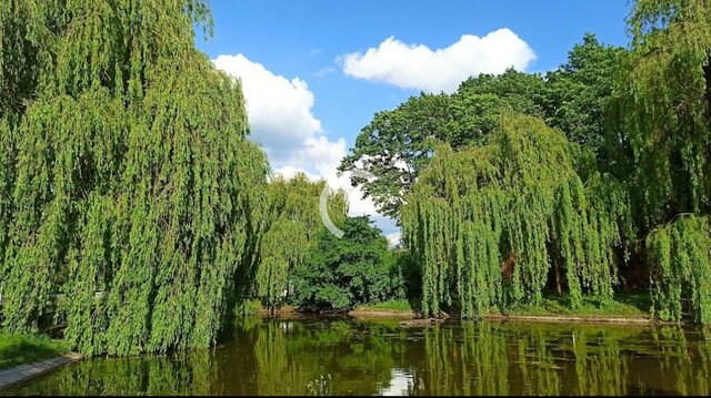 wzwodnik1
