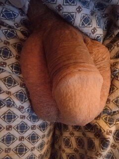 IMG_20221019_071704.jpg
