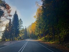 IMG20221020082001.jpg
