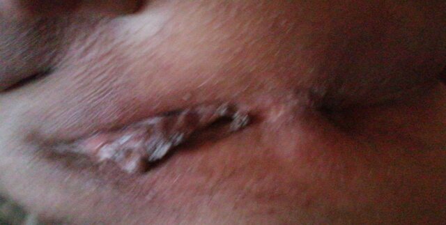 PolDic
