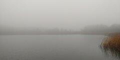 20221022_081024.jpg