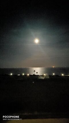 IMG_20220417_234208.jpg