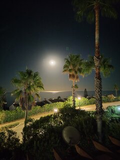 IMG_20220909_215057.jpg