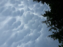 20210624_160354.jpg