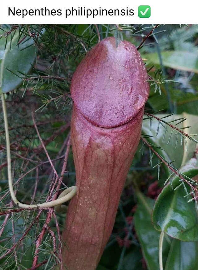 otwatyciekawy