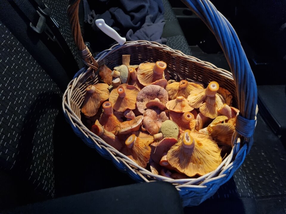 20221011_182351.jpg - ciekawskisutek