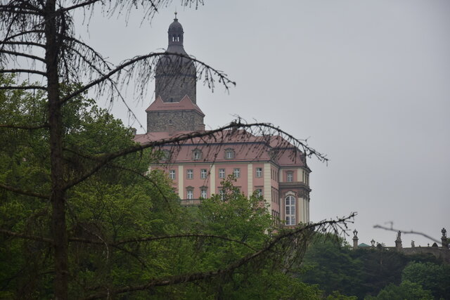 NieWidzeCipek