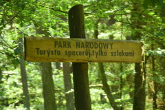 Międzyzdroje wakacje  (315).JPG