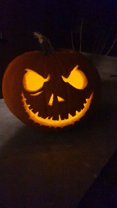 Resized_20221023_190423.jpeg