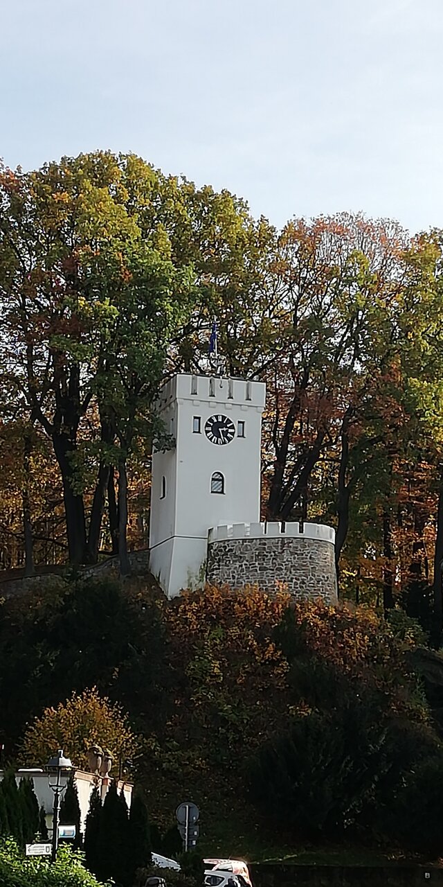 kutasnyI37