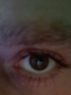 IMG20221024151209.jpg