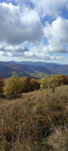 IMG_20221009_122357.jpg