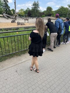 6E941F84-8799-4F6E-B409-2D2A67B0BA64.jpeg