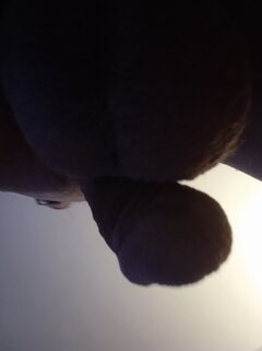 IMG_20221026_074116.jpg
