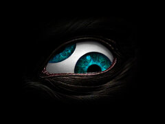 dgcicr-03fb6e8e-2afc-433f-aac5-a682390e1d20.jpg