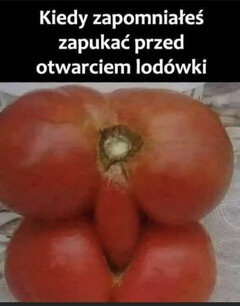 68D68EEF-64A3-405A-9E3A-BB85EAB7C0EC.jpeg