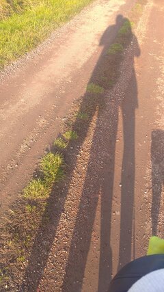IMG_20221030_144539_1.jpg