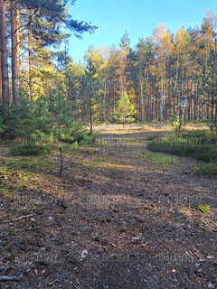 20221030_143602.jpg