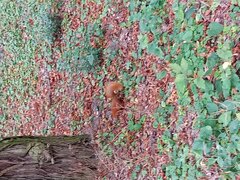 20220830_155338.jpg