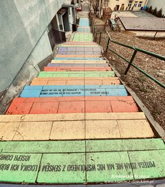 5AF1B3DD-7517-4B0D-AFFD-8090D962BC2C.jpeg