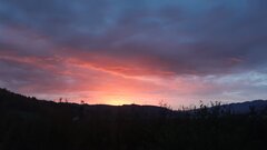 20221024_071112.jpg
