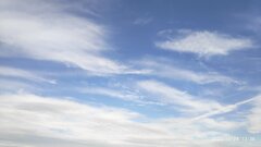 IMG_20221028_133622.jpg