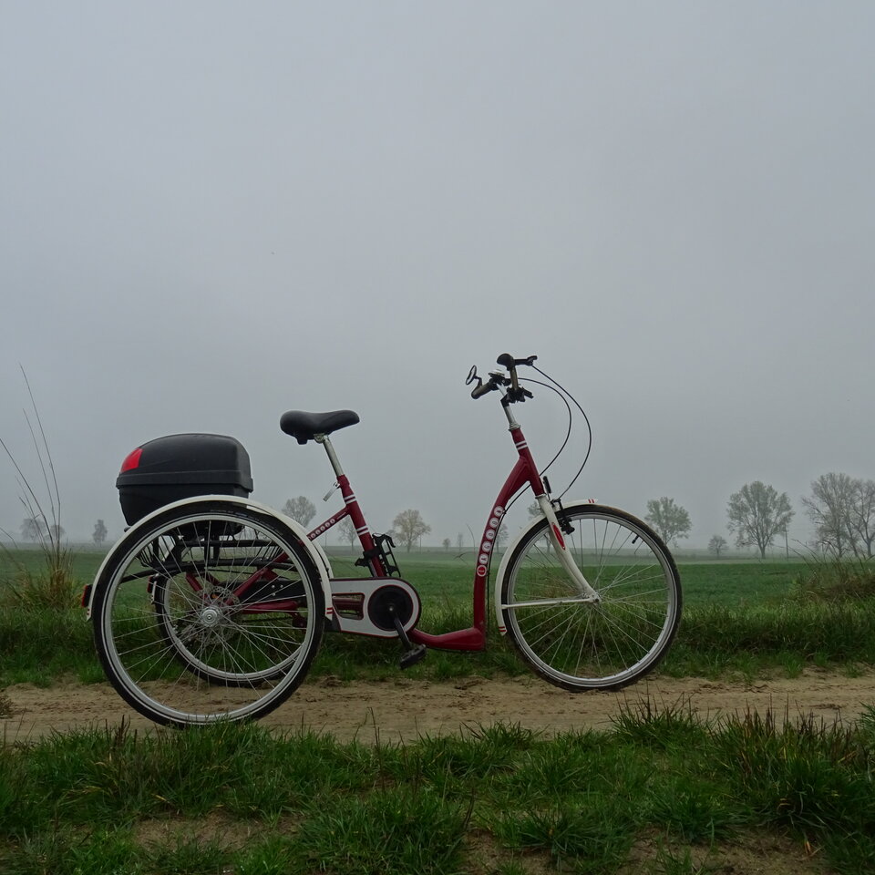 DSC00585.JPG - bojman8