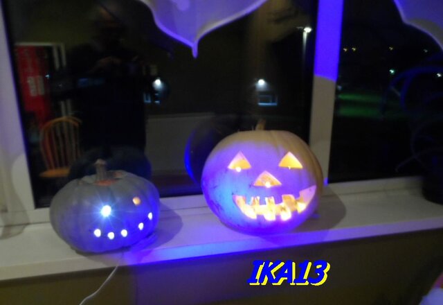 SAM_4323a.jpg - ika13