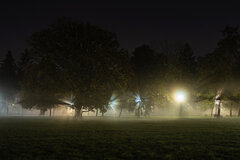 Flash in the night