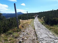 20190818_120316.jpg
