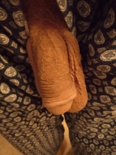 IMG_20221103_052318.jpg