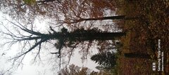 20221031_092312453.jpg